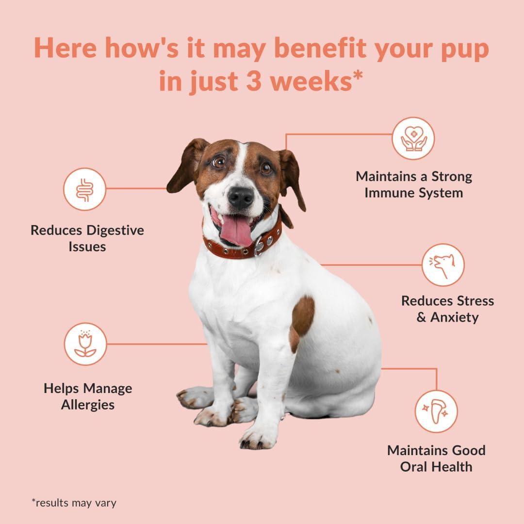 imageWuffes Digestive Probiotics for Dogs  Probiotic Chews for Dogs for Itching  Dog Health Pet Supplies  Dog Vitamins and Supplements  30 Probiotic Dog Chews ampamp Digestive Enzymes for Itchy Skin ampamp Gut