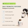 imageWuffes Daily Probiotic for Dogs  Supports Digestive Health Gut Balance and Immune System  with Prebiotics Marshmallow Root and Pumpkin Powder  60 Soft Chews60 Chews Pack of 1